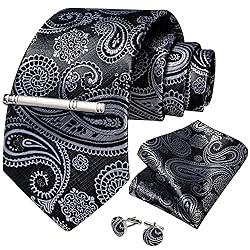 DiBanGu Silk Paisley Ties for Men Woven Necktie and