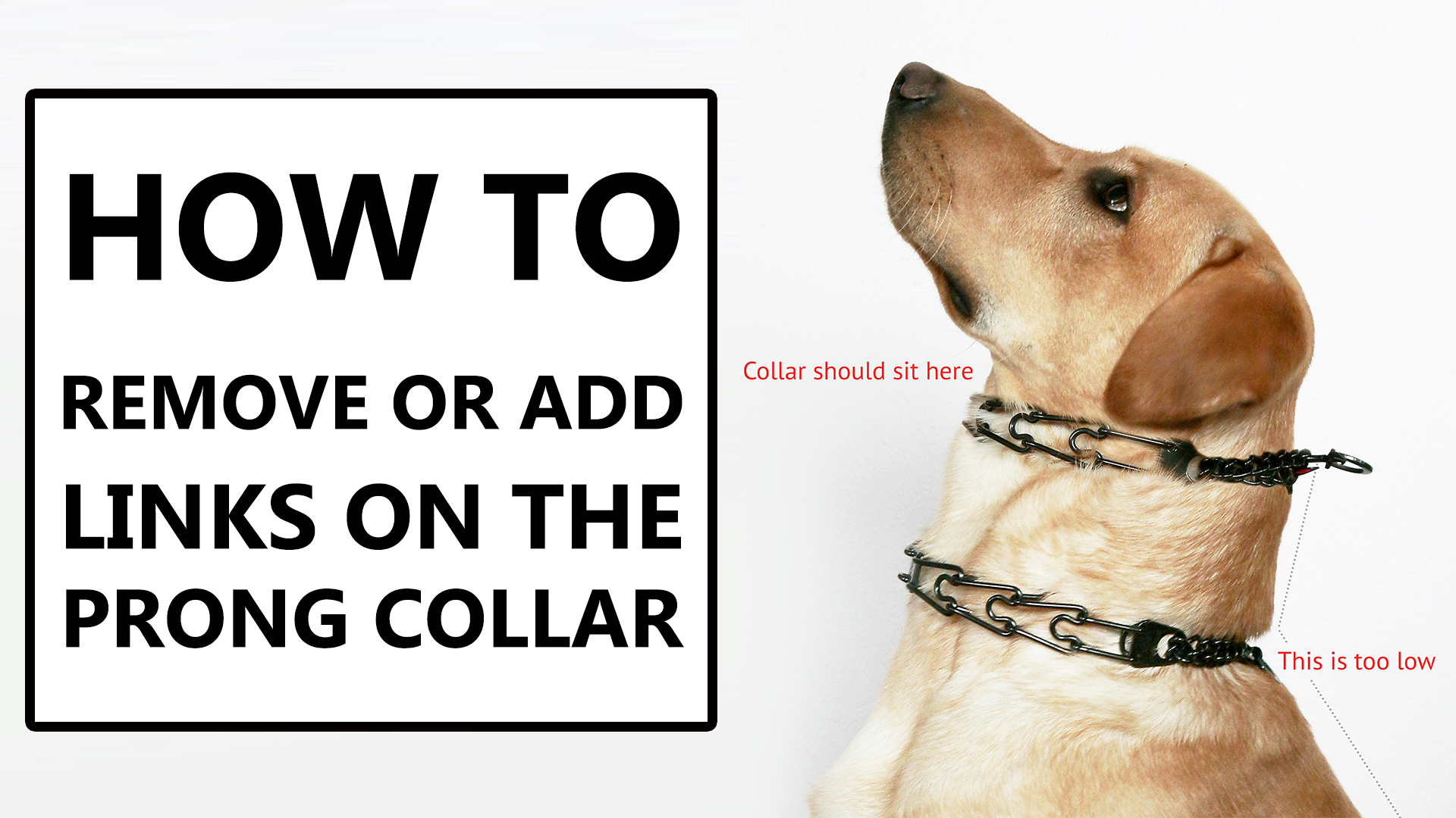 starmark pro training collar quick release