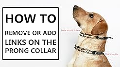 authentic herm sprenger prong collar