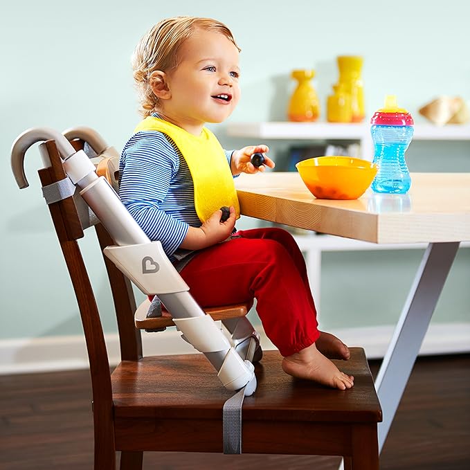 munchkin elevate booster chair