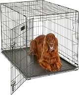 MidWest iCrate 106 cm Single Door Folding Dog Crate with Divider Panel
