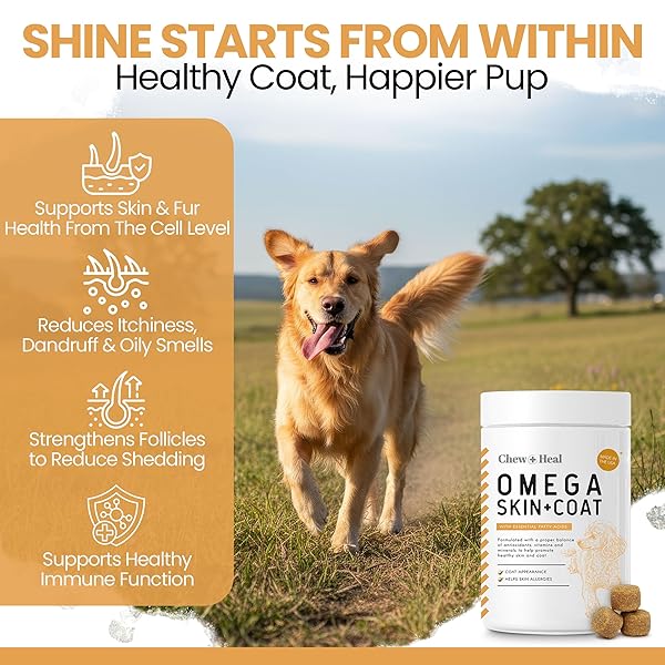 OMEGA 3 FISH OIL FOR DOGS – 180 SOFT CHEWS FOR ITCH RELIEF, SHEDDING & HOT SPOTS – SKIN AND COAT SUPPLEMENT – SALMON OIL, EPA & DHA – ALLERGY CHEWS – MADE IN USA – CHEW + HEAL