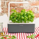 Click and Grow Basil Plant Pods 3-pack Smart Garden Brand New view 3