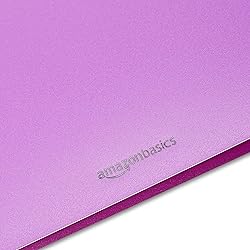 Amazon Basics Plastic 3 Hole Punch Folders with 2