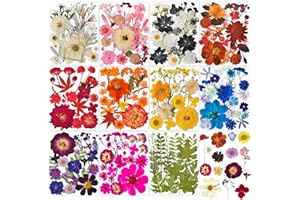 320PCS Dried Pressed Flowers Bulk for Resin, YouthBro Real Natural Pressing Flowers with Two Sheets Butterfly Stikers for Mold DIY Art Crafts,Home Décor,Cherish