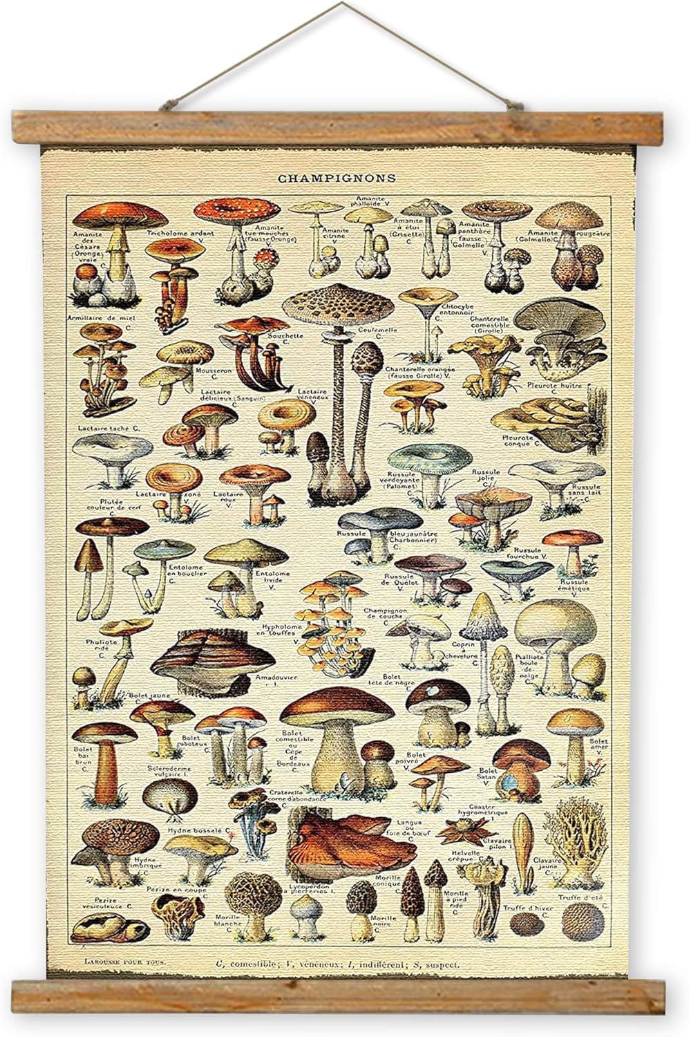 Posters & Prints - ABoby Vintage Hanging Posters, Decorative Mushroom Wall Art Prints, Printed on Linen with Wood Frames, Ready to Hang