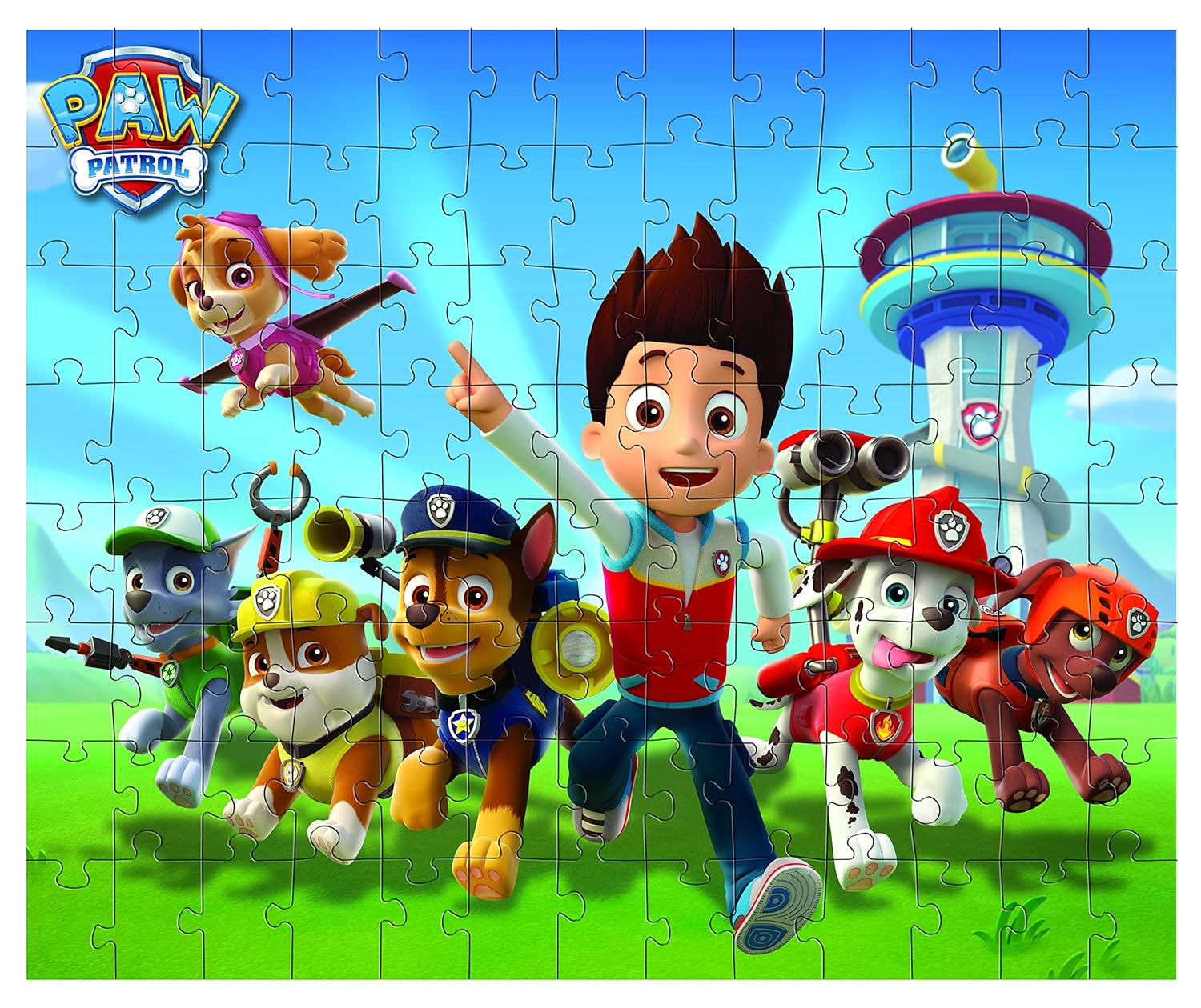 paw patrol amazon india