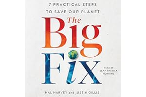 The Big Fix: Seven Practical Steps to Save our Planet
