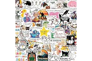 Funny Stickers for Adults 238 PCS - Holographic Sarcastic Meme Decals | Waterproof Vinyl Laptop Stickers, Water Bottle, Phone