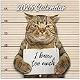 2026 Wall Calendar - January 2026 - December 2026, Funny Cat Calendar 2026, 12 Months Calendar, Funny Cat Memes Pics, 12" x 2