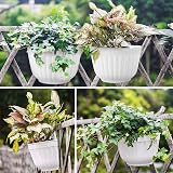 ORIMERC 4 Pack Wall Planters Vertical Garden Indoor Outdoor Pots White view 6
