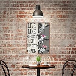 Cow Live Like Someone Left The Gate Open