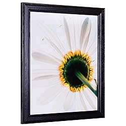 Craig Frames Wiltshire 236, Simple Black Hardwood