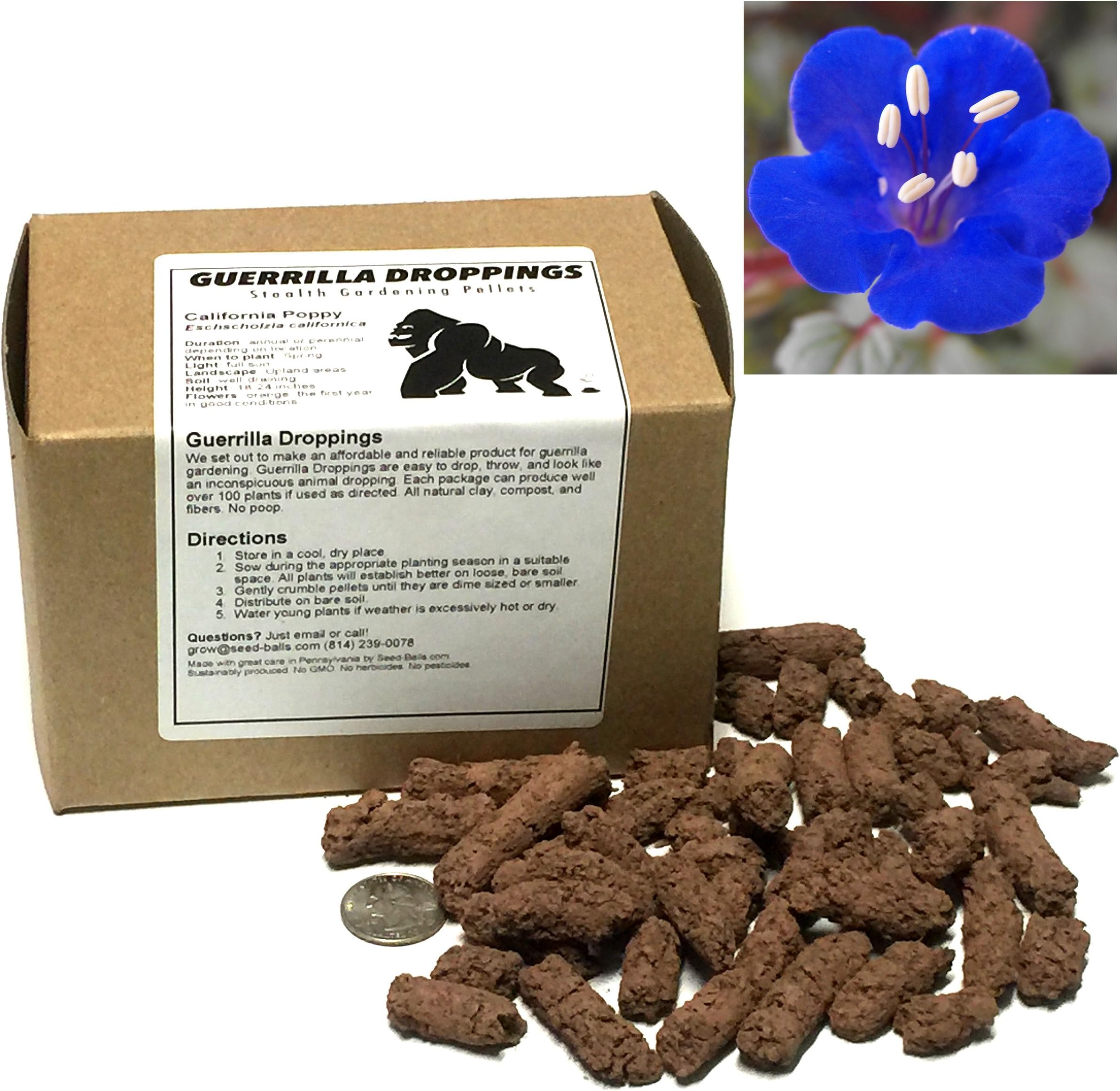 California Bluebell Guerrilla Droppings - Seed Pellets for Guerrilla Gardening (Phacelia campanularia)