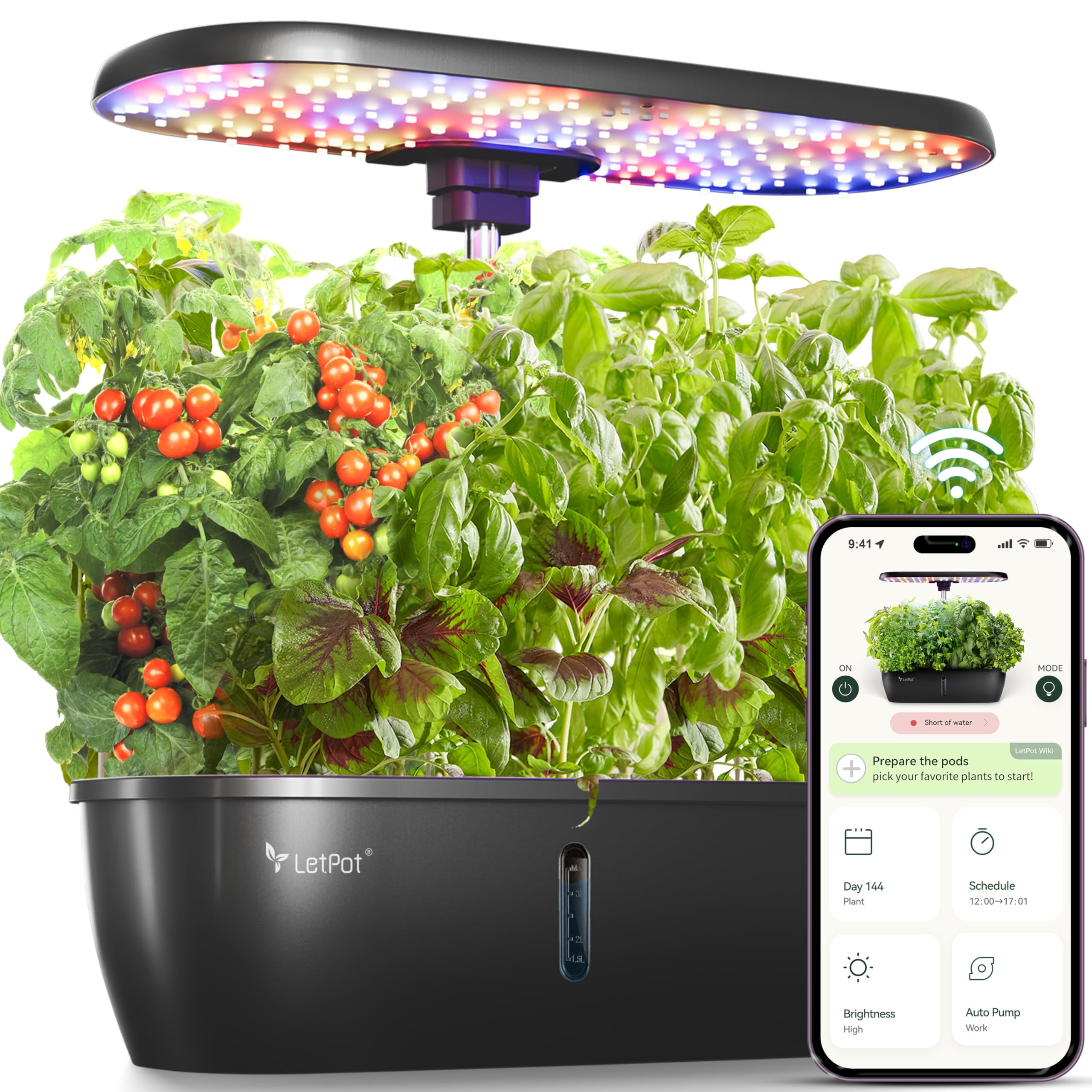 LETPOT LPH-Lite Hydroponics Growing System, 12 Pods Smart Herb Garden Kit Indoor, Indoor Garden, APP & WiFi Controlled, with 24W Growing LED, 5.5L Water Tank, Pump System, Automatic Timer Image