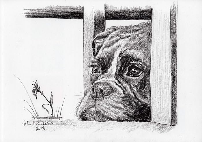 Amazoncom Sad Dog Original Gala Kostroma Boxer Watercolor