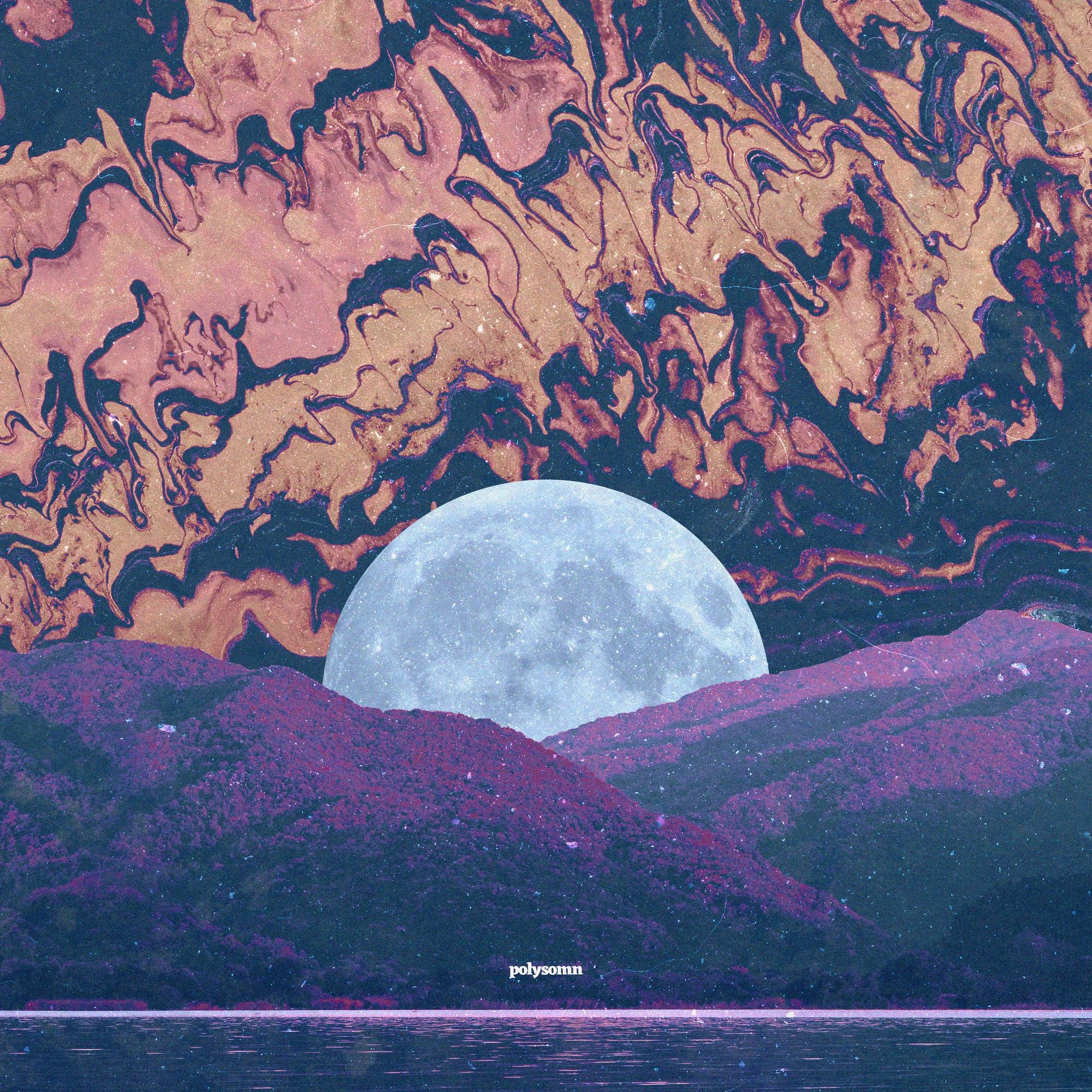 Polysomn (LP) [VINYL]