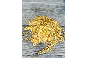 WHOLESOME HARVEST North Lily Yellow Split Peas, Dry, Non-GMO, Kosher, 50 lbs