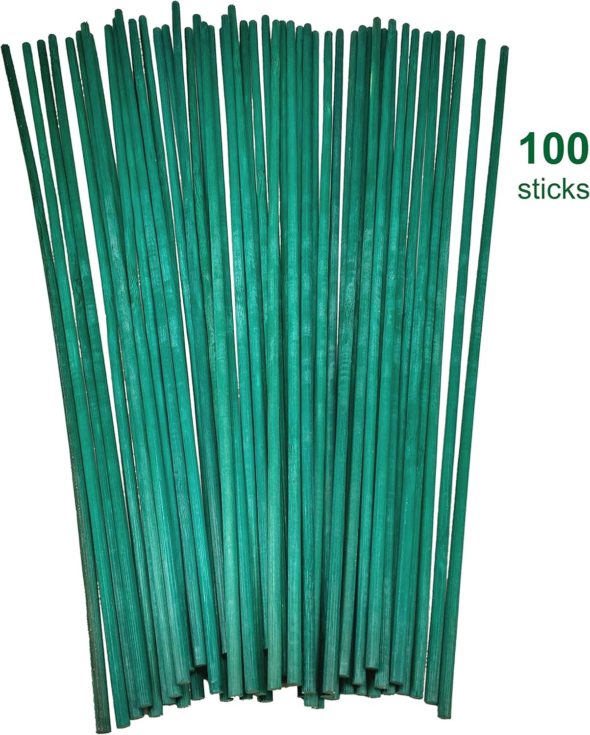 Britten and James 30cm Plant Support Bamboo Sticks (Pack of 100
