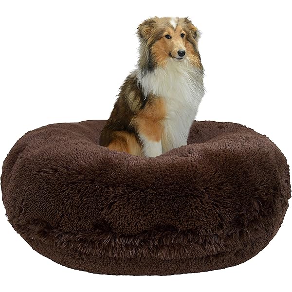 MOCONBessie and Barnie Faux XL Brown Extra Blondie Sizes), Luxury