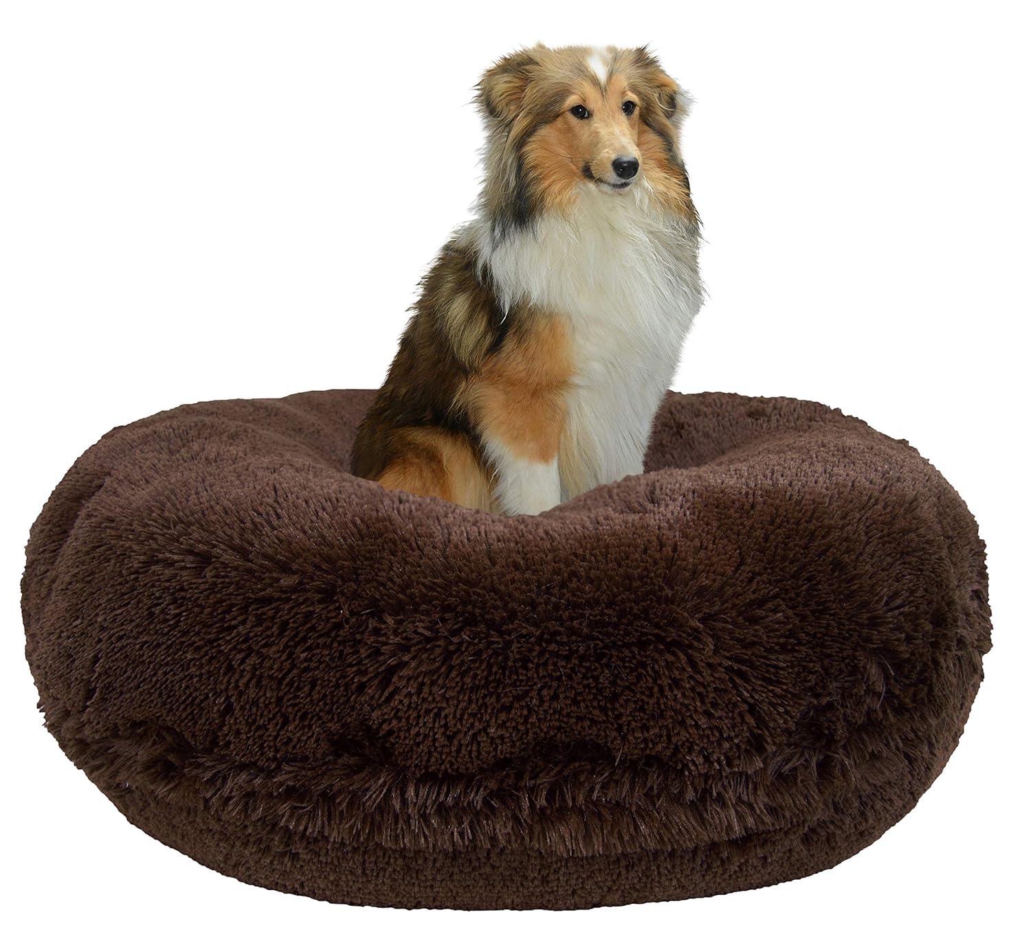 Best bessie and barnie bed lg