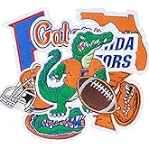 JEFUZH 9PCS Florida Iron on Patches, Football Patches for Jeans, T-Shirts, Backpacks, Hats and More(Florida-1)