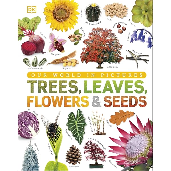 Trees, Leaves, Flowers & Seeds: A Visual Plant Encyclopedia for