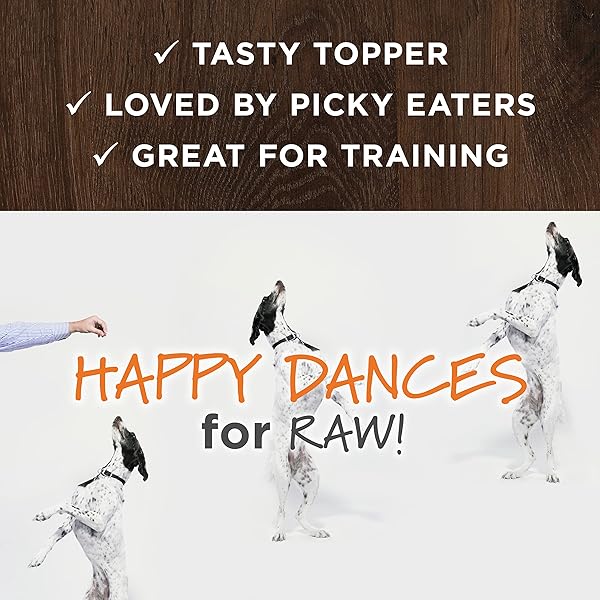 INSTINCT RAW BOOST MIXERS MOBILITY SUPPORT FREEZE-DRIED DOG FOOD TOPPER, 5.5 OZ. BAG