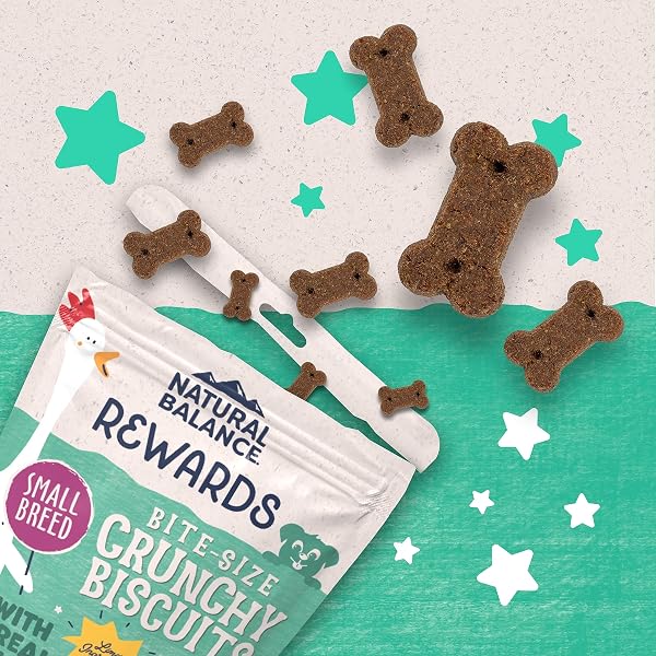 NATURAL BALANCE LIMITED INGREDIENT REWARDS CRUNCHY BISCUITS, BITE-SIZE TREATS FOR SMALL-BREED DOGS, MADE WITH REAL CHICKEN, 8 OUNCE (PACK OF 1)