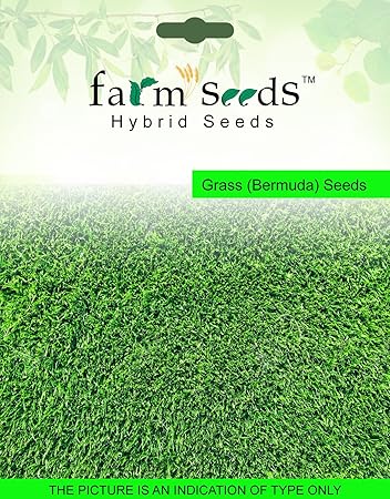 Farm Seeds Bermuda Grass - 1 Kg Seed