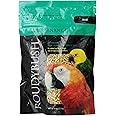 Roudybush Daily Maintenance Bird Food, Mini, 8-Ounce