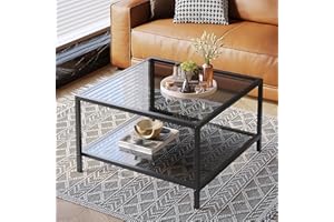 SAYGOER Modern Coffee Table Small Glass Coffee Table with Storage 2-Tier Simple Square Center Table for Living Room Home Office Sofa Table with Metal Frame 26.7 x 26.7 x 17.7 Inches, Gray Black