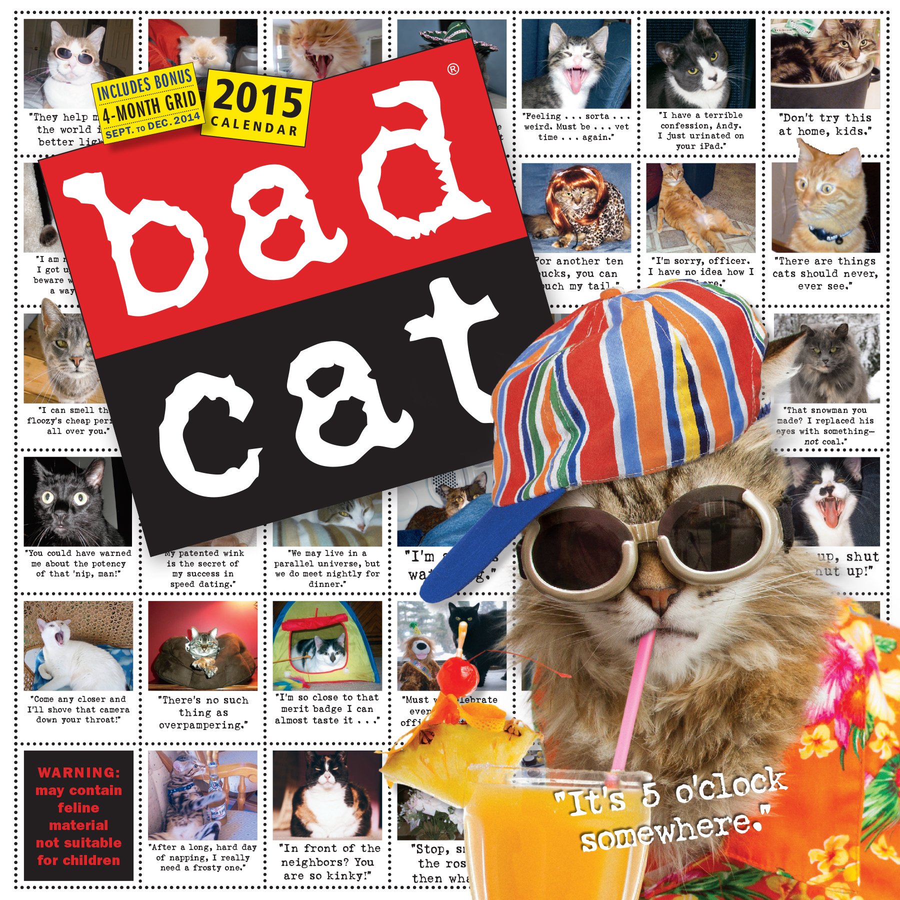 Bad Cat 15 Wall Calendar Workman Publishing Amazon Com Books