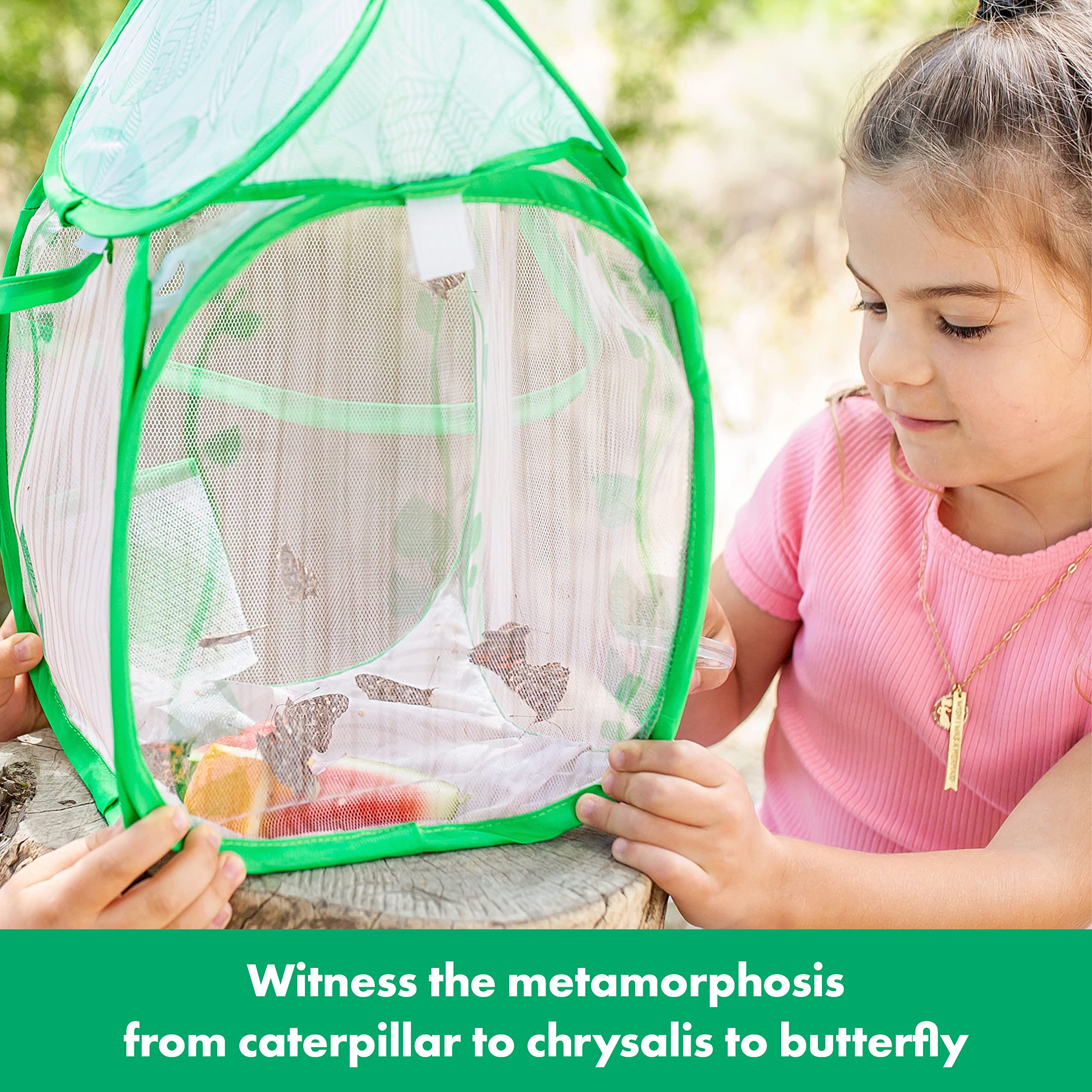 Educational Insights GeoSafari Jr. Butterfly Bungalow, Butterfly Garden Kit, Gift for Kids Ages 4+