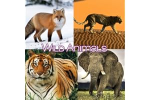 Wild Animals
