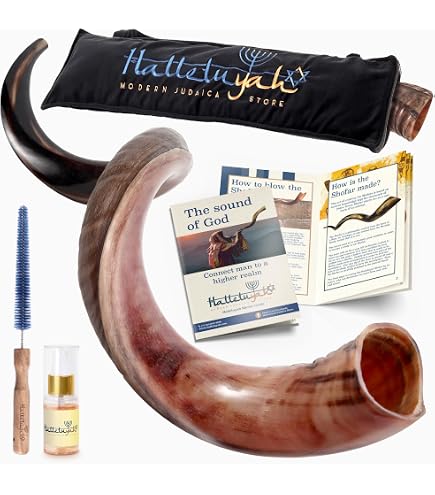Kudu Yemenite Shofar Horn Kosher Judaica Half Polished Israel