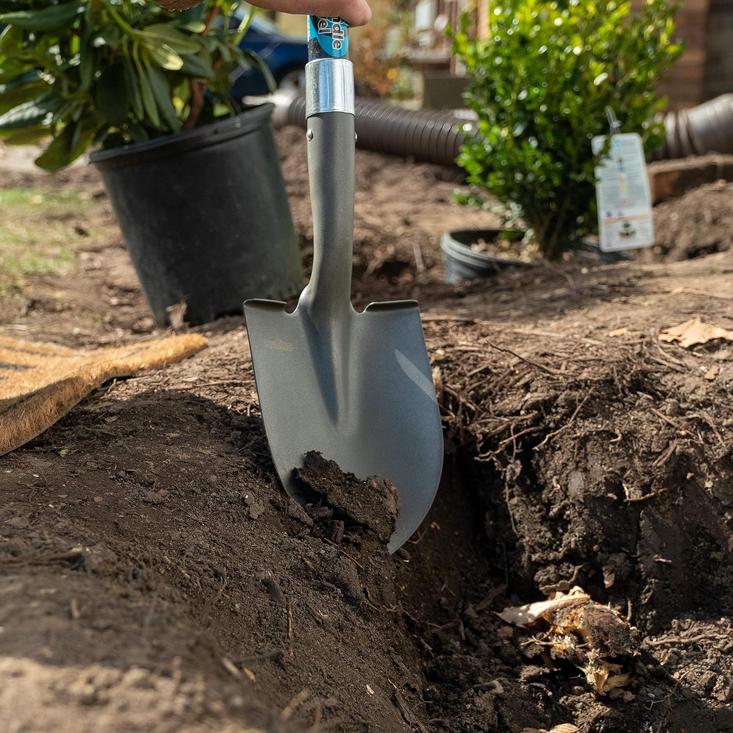 Radius Garden 27201 Mini Pro-Lite Floral Shovel, Blue : Garden & Outdoor