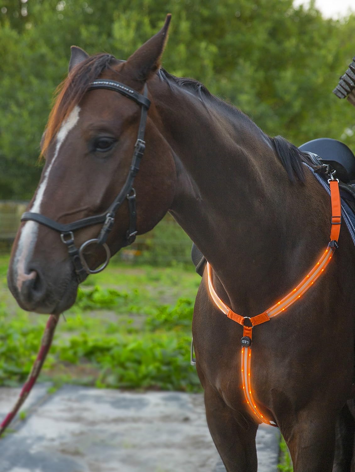 LED Horse Breastplate Collar USB Rechargeable Best High Visibility Tack For Horseback Riding