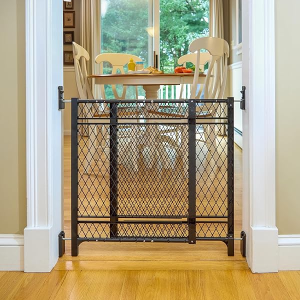 INGENUITY DOORWAY 42W SERIES DOG AND BABY GATE, INDOOR OUTDOOR, WON’T RUST OR FADE, PLASTIC PANEL, FITS 23-42″ OPENINGS, 24” TALL