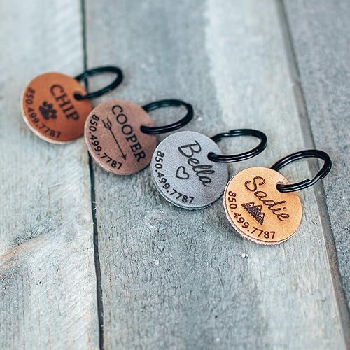 black mouth cur and mastiff mix