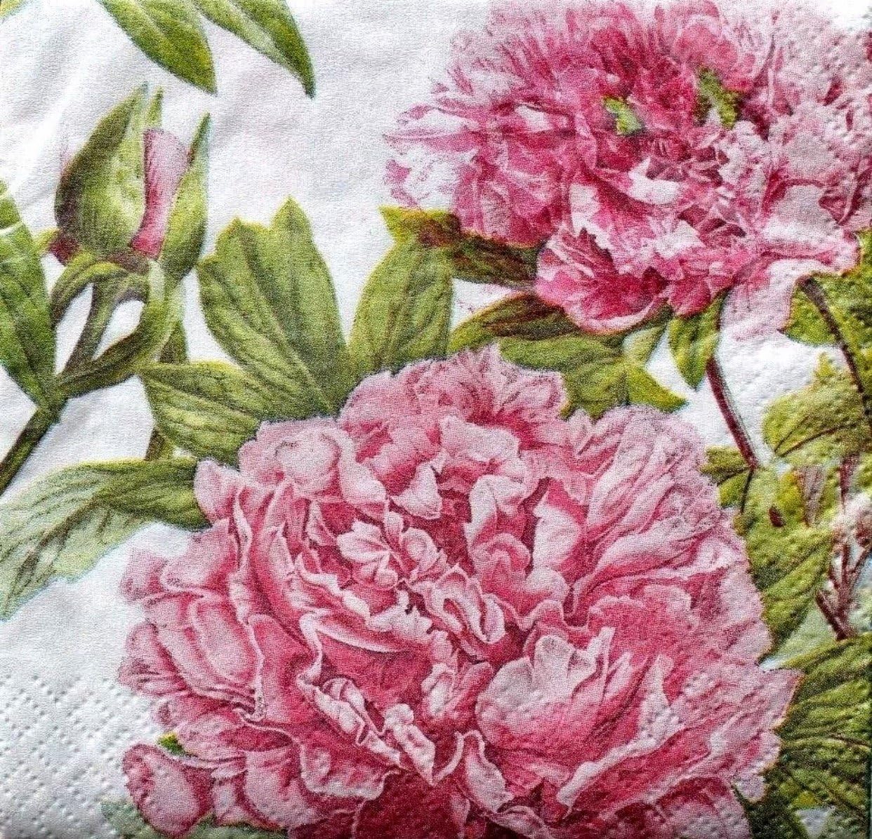 Craftmaster Cocktail Beverage Paper Napkins - Pretty Peonies 36 ct