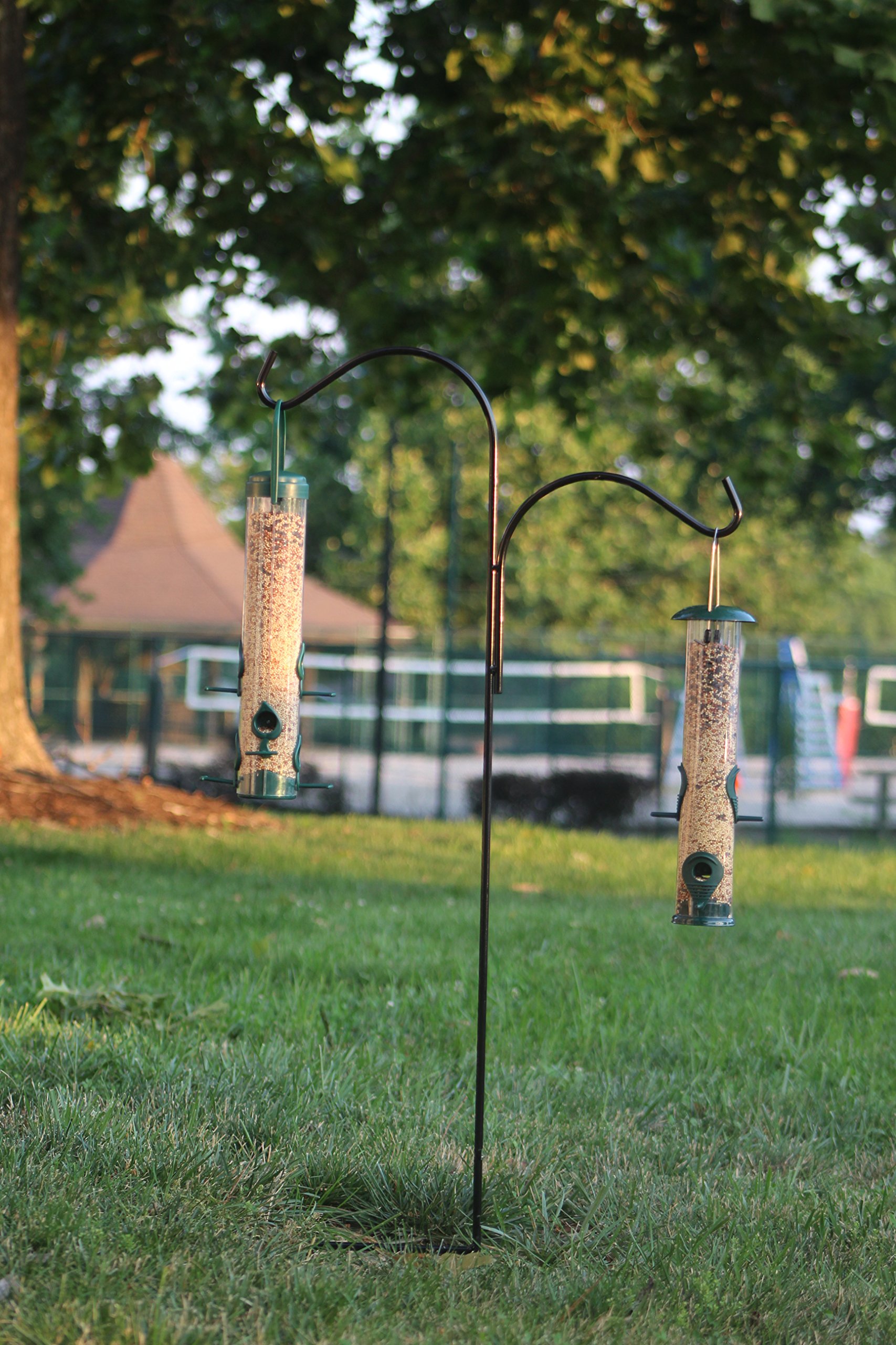 ashman shepherd hooks