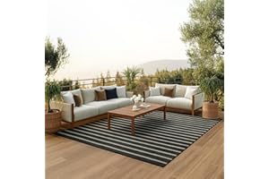 Nourison Home Positano Indoor/Outdoor Black Ivory 8' x 10' Area Rug, Easy Cleaning, Non Shedding, Bed Room, Living Room, Dining Room, Backyard, Deck, Patio (8x10)