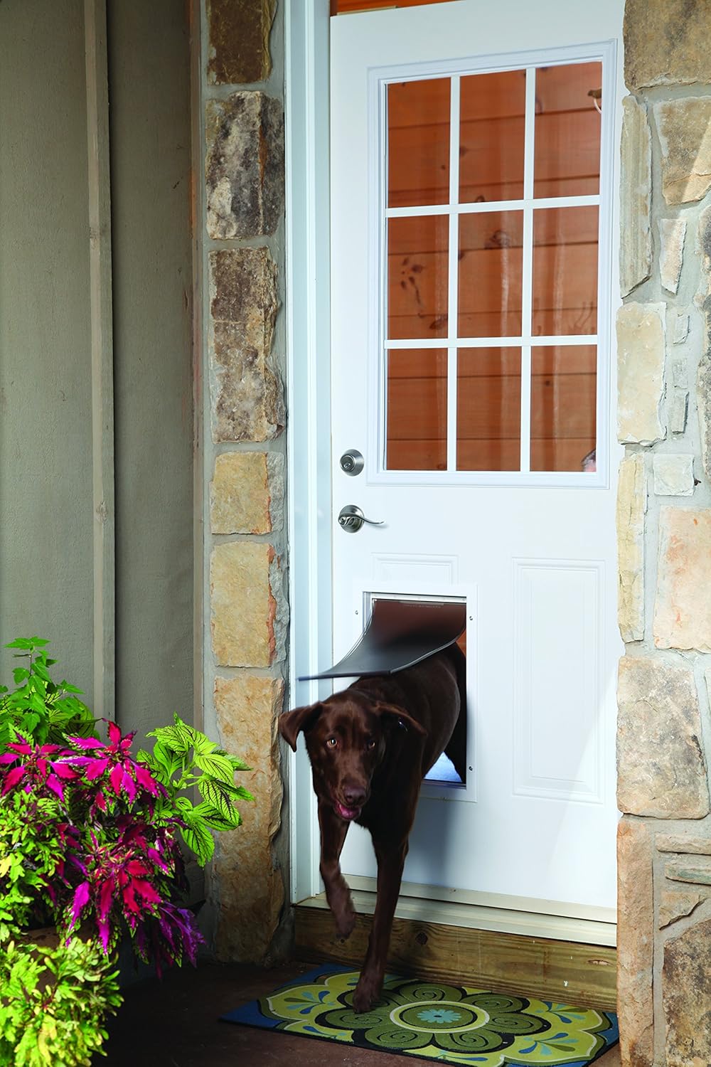 petsafe staywell aluminium pet door large