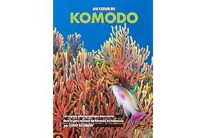 Au cœur de KOMODO: Un voyage photographique sous-marin dans le parc national de Komodo en Indonésie (VOYAGES PHOTOGRAPHIQUES 