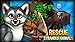 Animal Voyage: Island Adventure