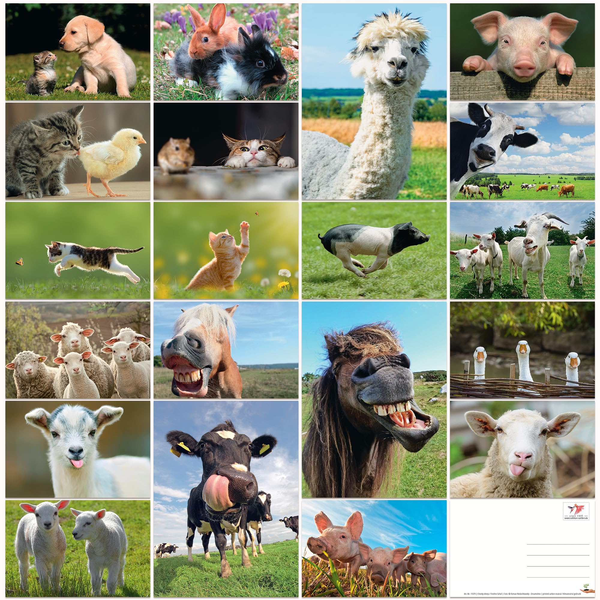 FARM ANIMALS funny postcard set (Sheeps, pigs, cows, horses, cats etc.) 20 different cards by Edition Colibri