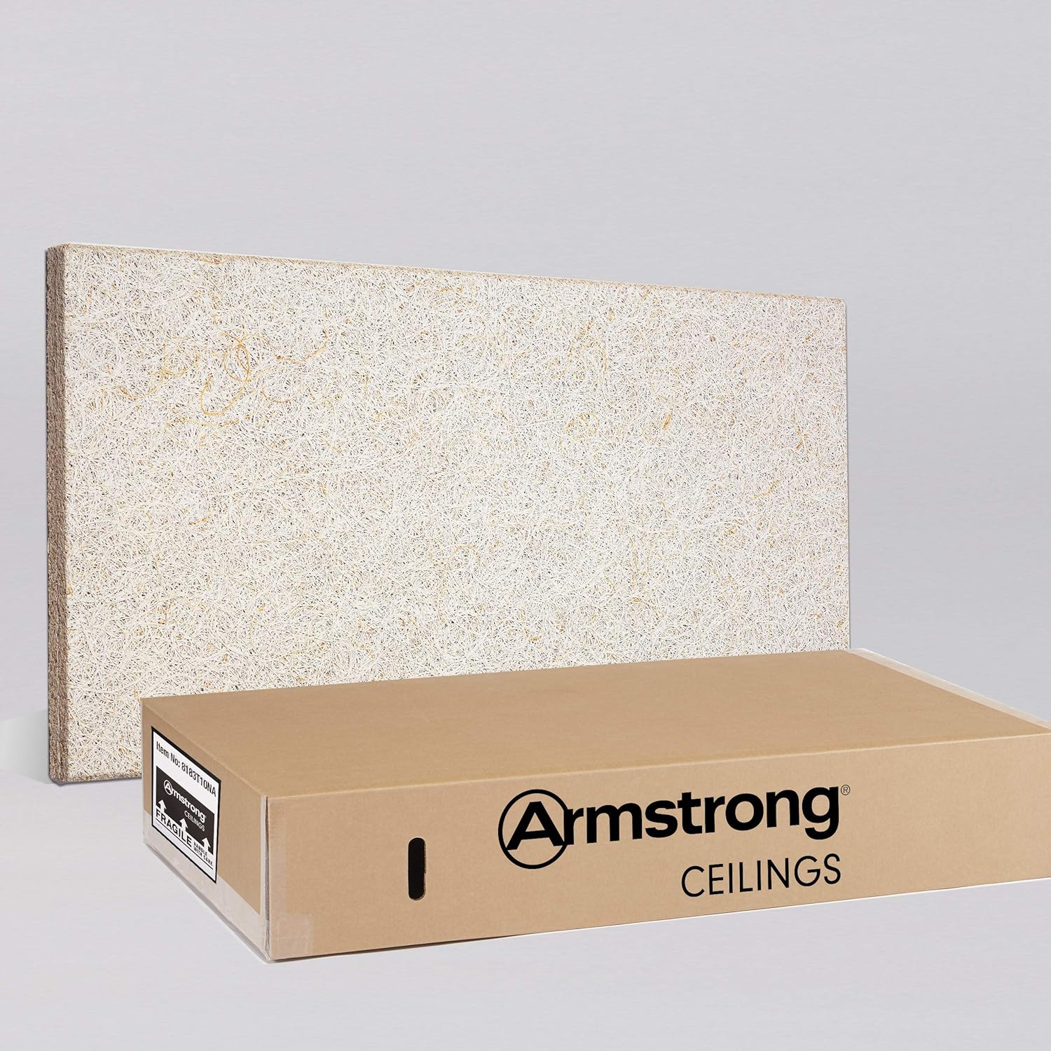 Armstrong Ceiling Tiles 2x4 Ceiling Tiles Acoustic Ceilings For
