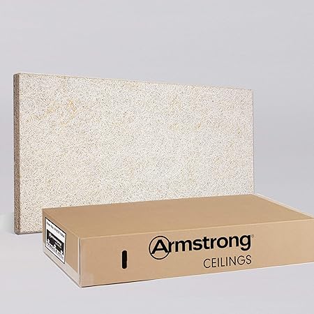 Armstrong Ceiling Tiles 2x4 Ceiling Tiles Acoustic Ceilings For