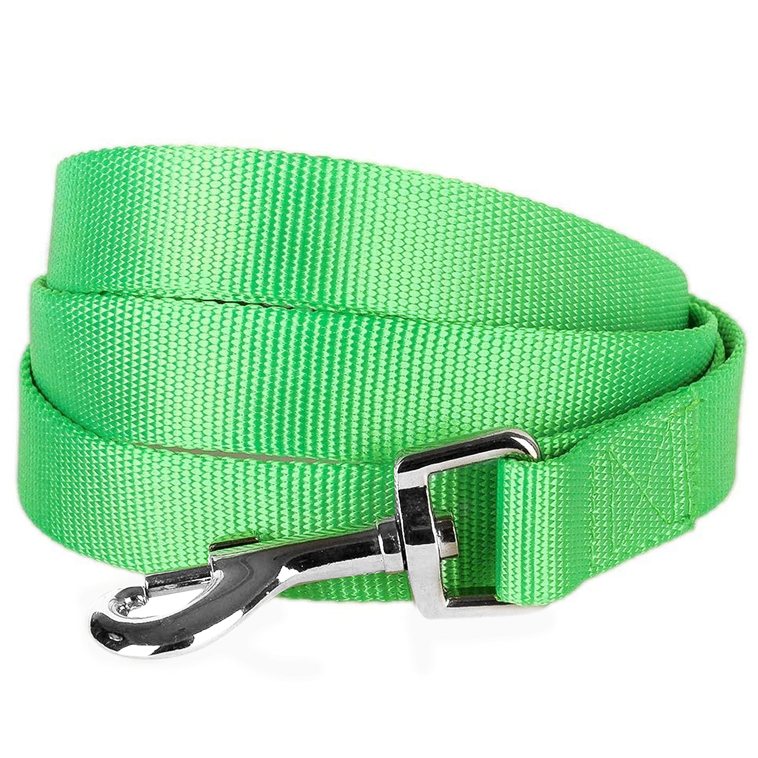 Blueberry Pet Durable Classic Solid Color Dog Lead 120 cm x 2.5cm in Neon Green, Large, Basic Nylon Leads for Dogs, Matching Collar & Harness Available Separately